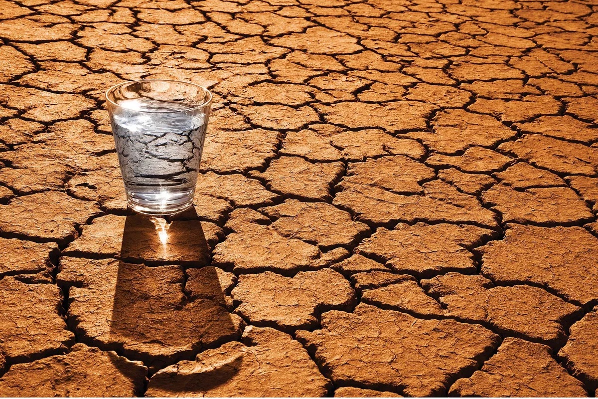 a glass of water in the desert